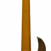 ARIA 313-BB/5