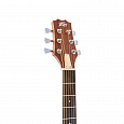 PEAVEY DW 2