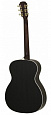 ARIA-101UP STBK