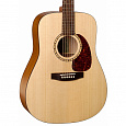 SIMON&Patrick 29099 Woodland Spruce